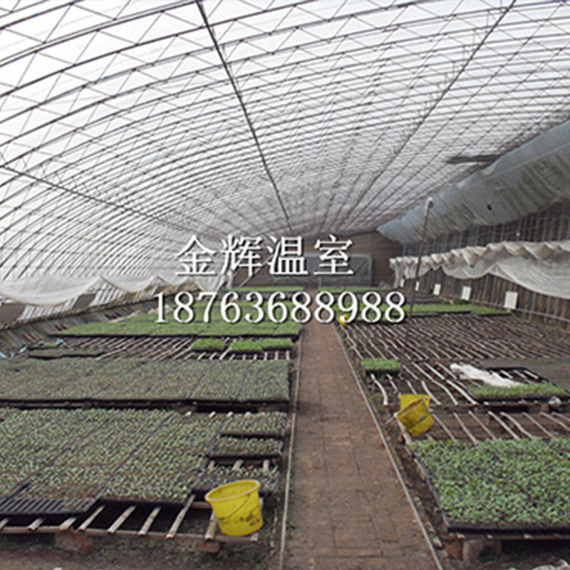 蔬菜大棚冰雹等強(qiáng)對(duì)流天氣應(yīng)該如何做好防護(hù)？